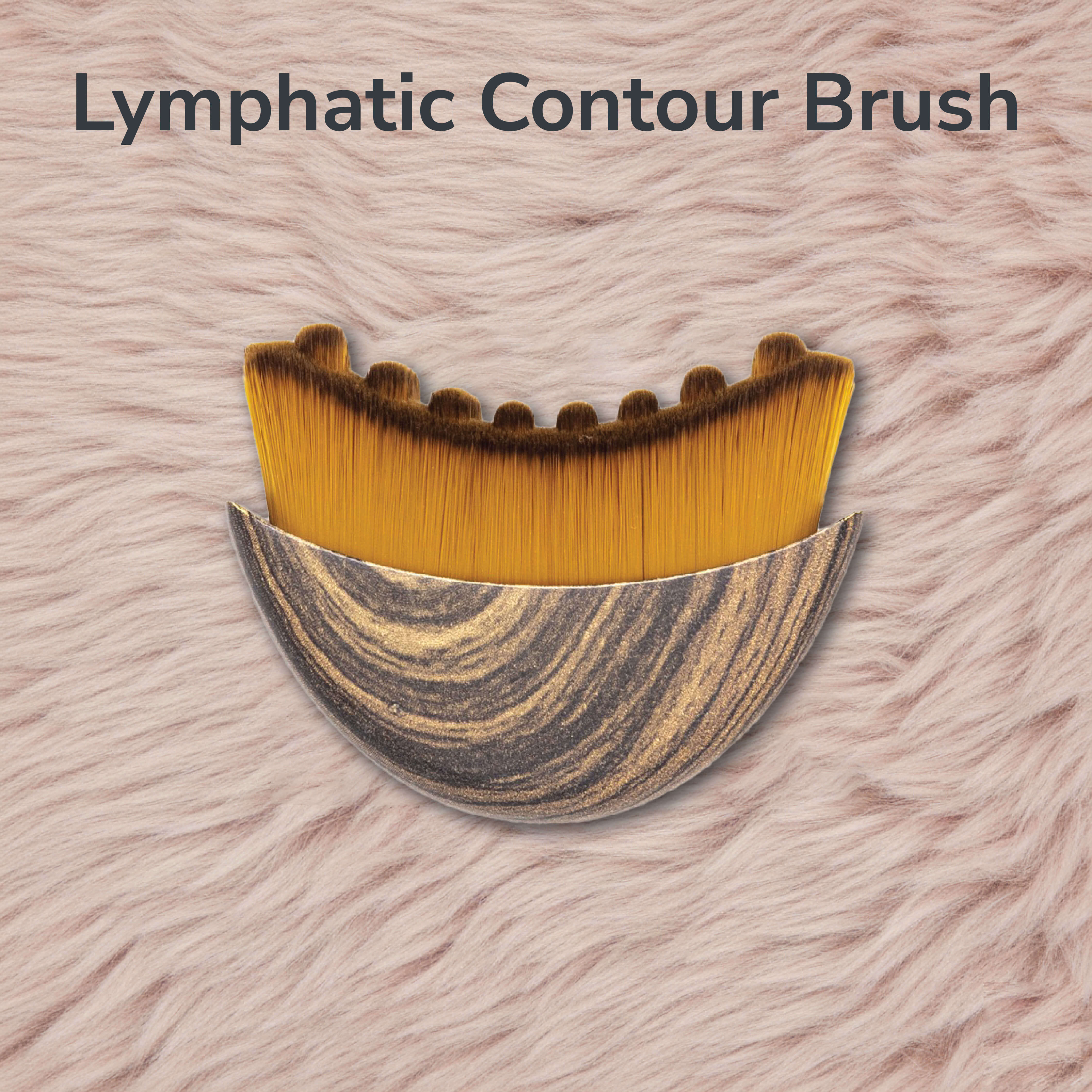 Lymphatic Contour Brush